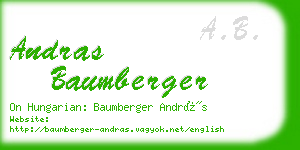 andras baumberger business card